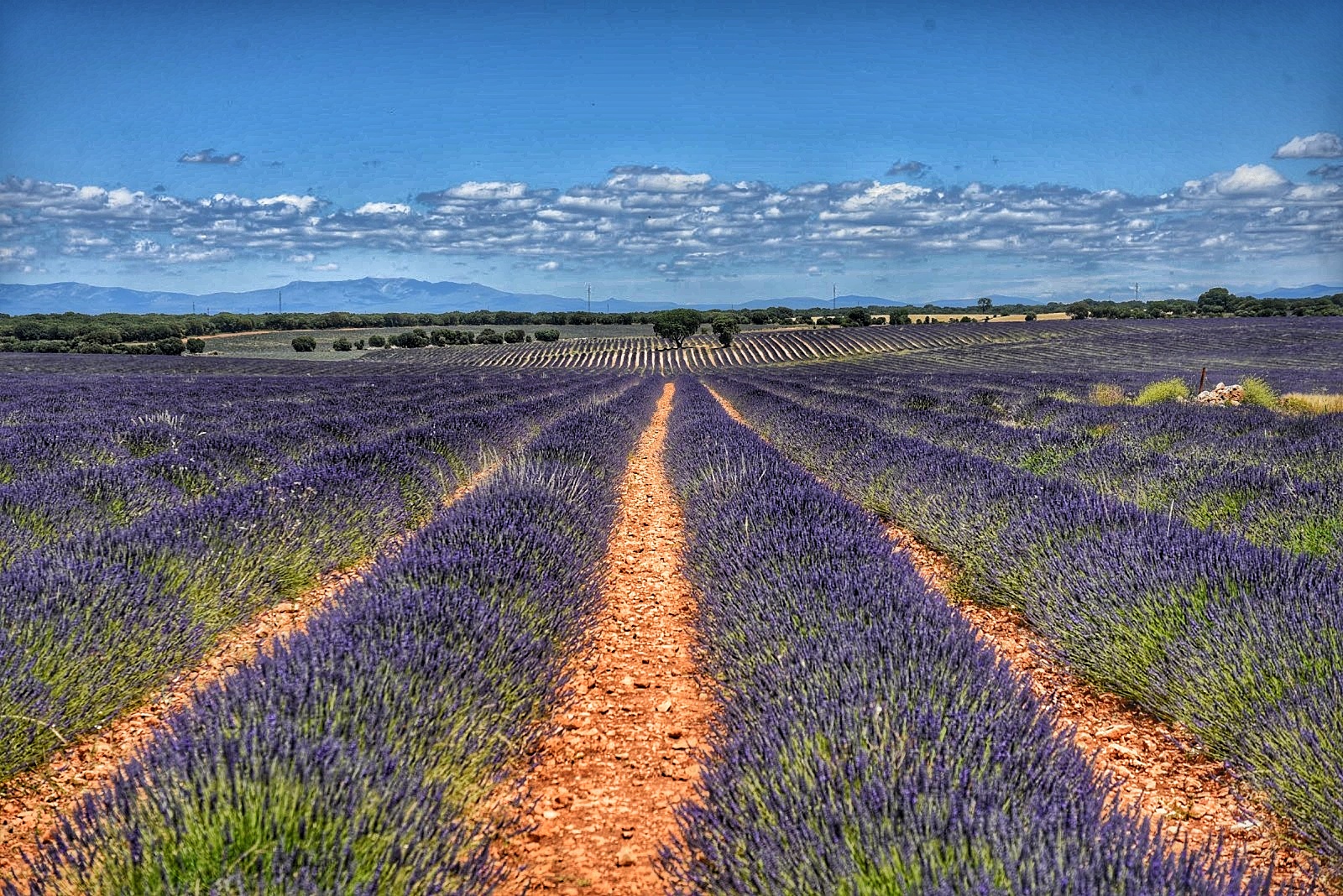 Brihuega